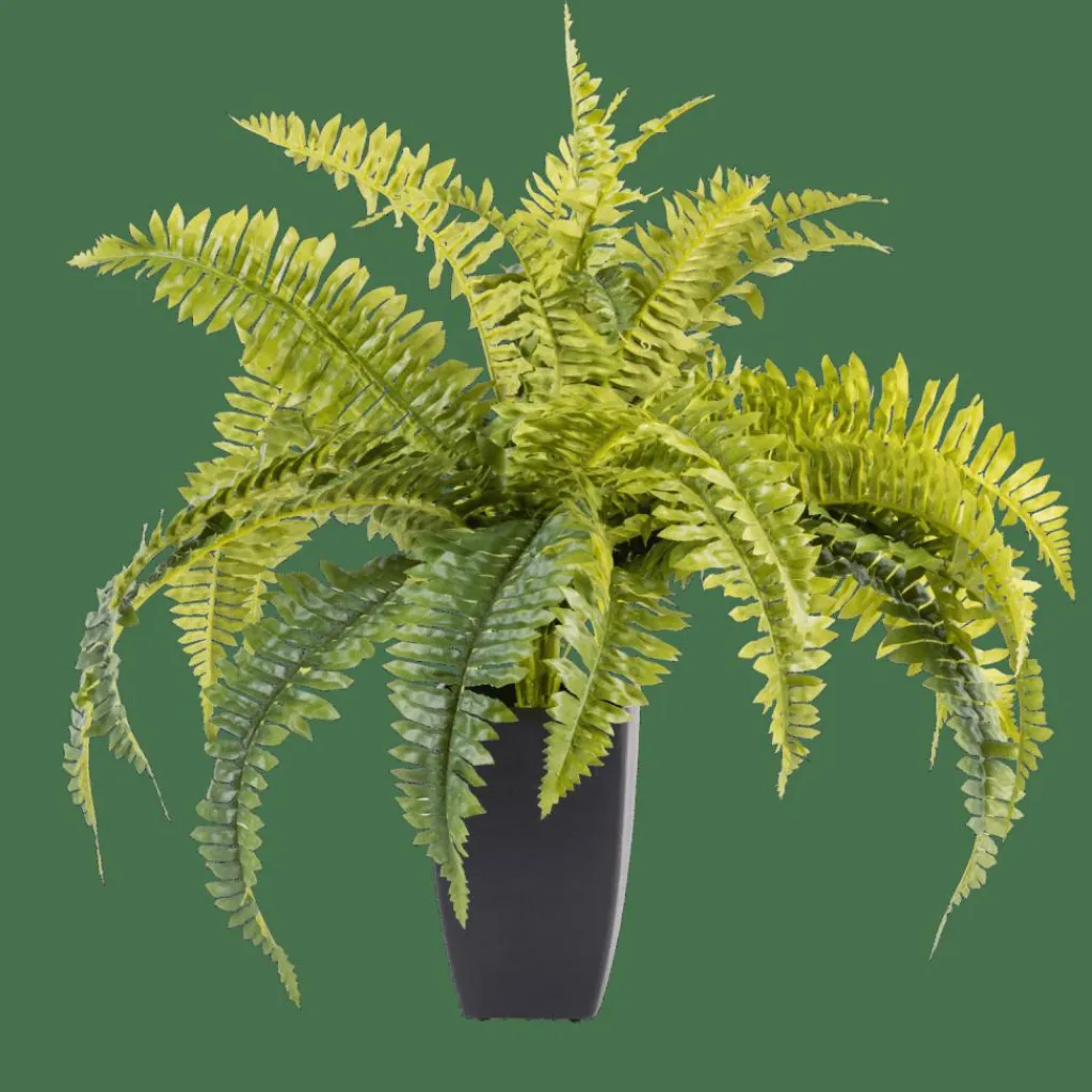 Clearance CASA BOSTON Sambaia Verde