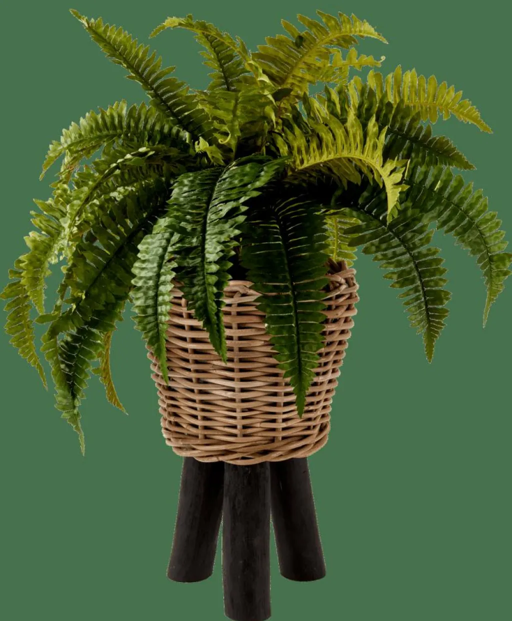 Clearance CASA BOSTON Sambaia Verde