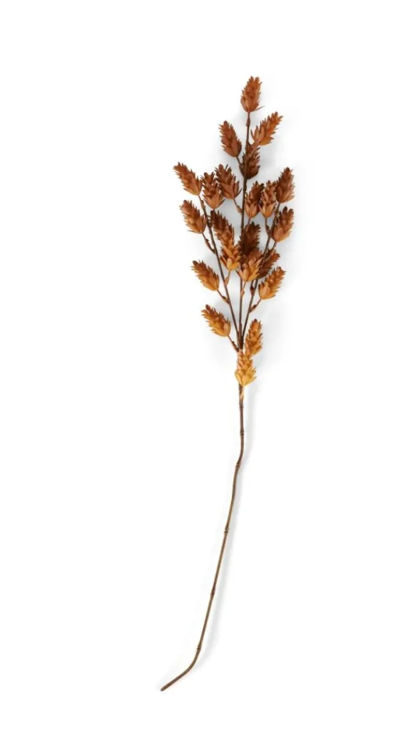 Outlet CASA CIPRA Caule Verde