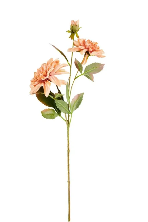 Fashion CASA DAHLIA Ramo Com Flores Rosa Pêssego