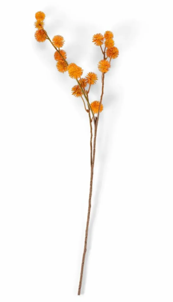 Fashion CASA DANDIL Caule Cor-de-laranja