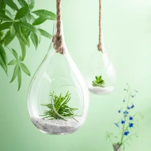 New CASA DROP Gota De Vidro Transparente