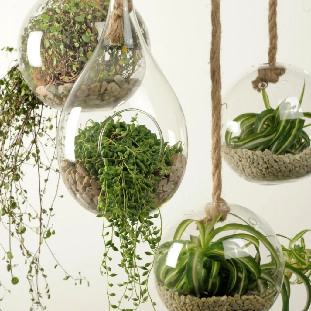 New CASA DROP Gota De Vidro Transparente