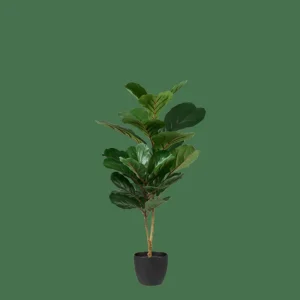 Shop CASA FIGI Planta Artificial Preto, Verde Escuro