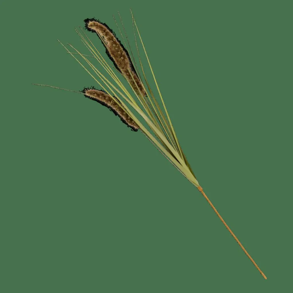 Best CASA GRASS Cana Artificial Verde