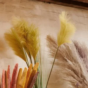 Best CASA GRASS Panícula De Cana Verde