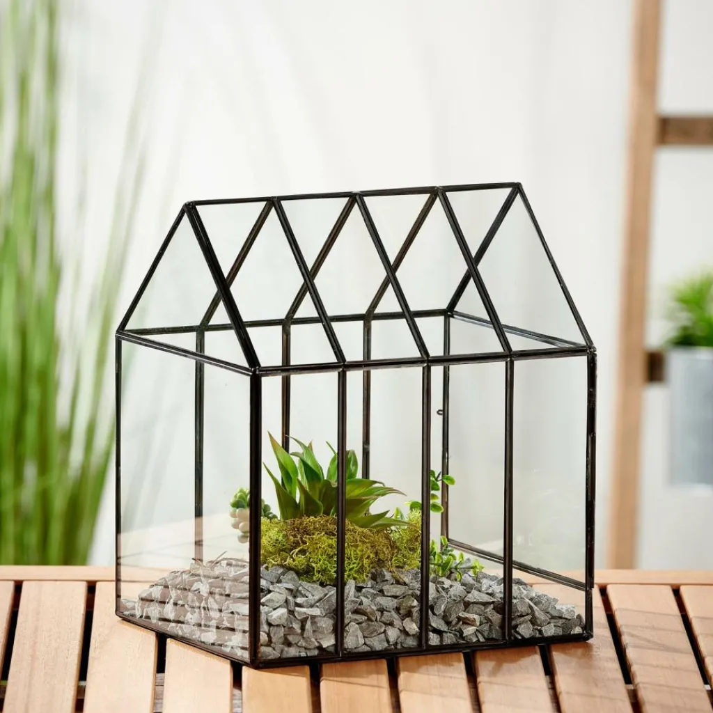 Hot CASA GREENHOUSE Mini Estufa Transparente