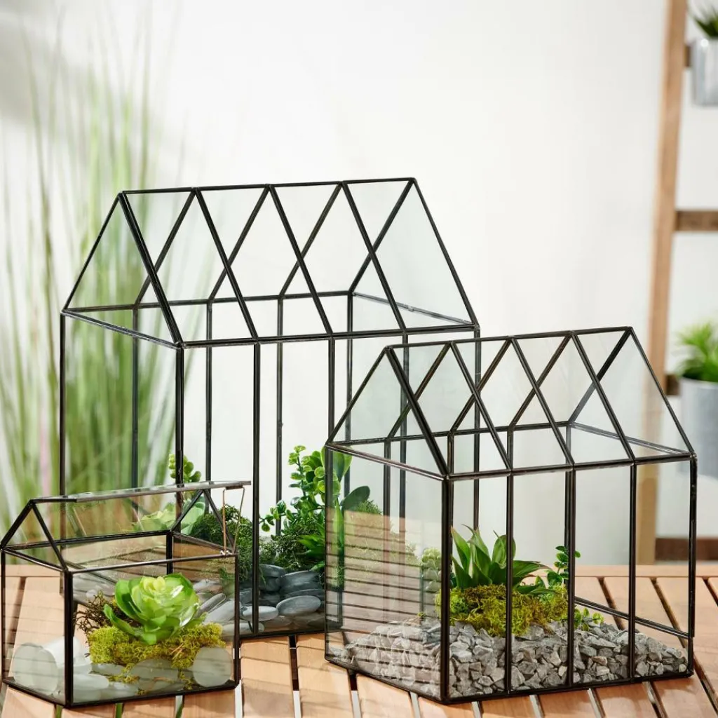 Hot CASA GREENHOUSE Mini Estufa Transparente