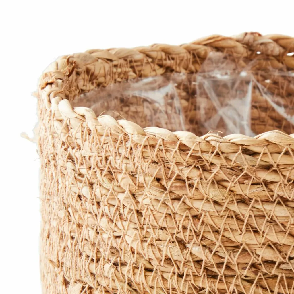 Cheap CASA HERBA Relva Em Vaso Verde