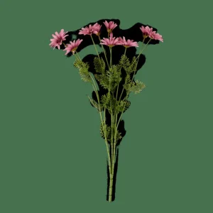 Cheap CASA INDI Crisântemo Roxo