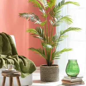 Cheap CASA KWAI Palmeira Verde