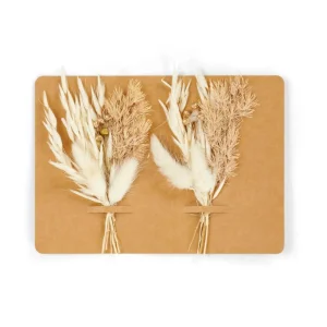 Cheap CASA MIA Deco Seca Bege