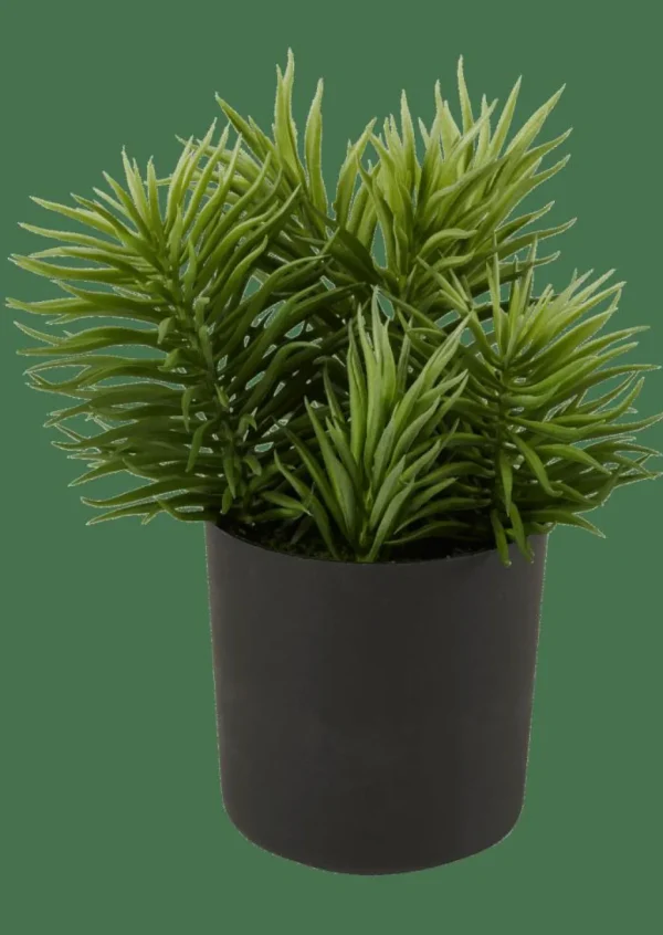 Shop CASA MOHAVE Diversas Cores