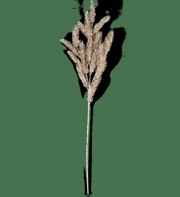 Shop CASA PINE Ramo Dourado