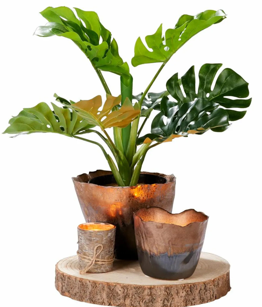 Best Sale CASA POPLAR Estrelas Decorativas Castanho