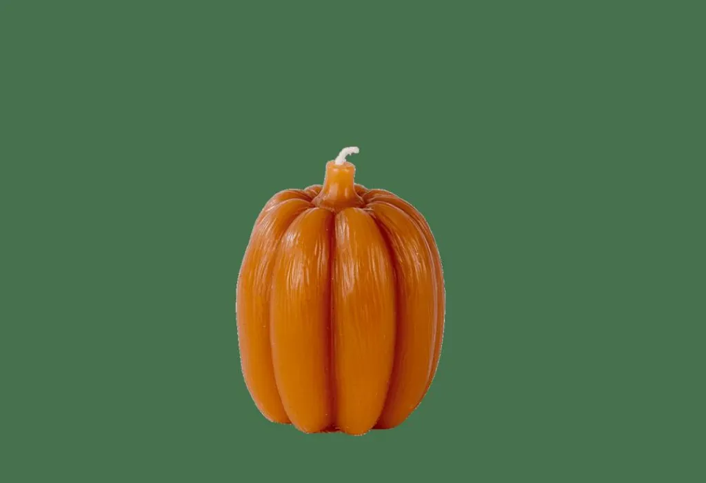 Discount CASA PUMPKIN Vela Castanho