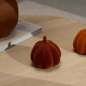 Online CASA VELVET Abóbora Cor-de-laranja