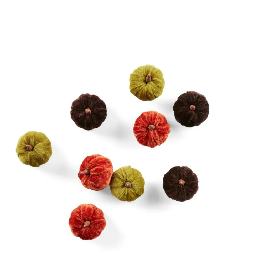 Discount CASA VELVET Abóboras Decorativas Conjunto De 9 Multicolor